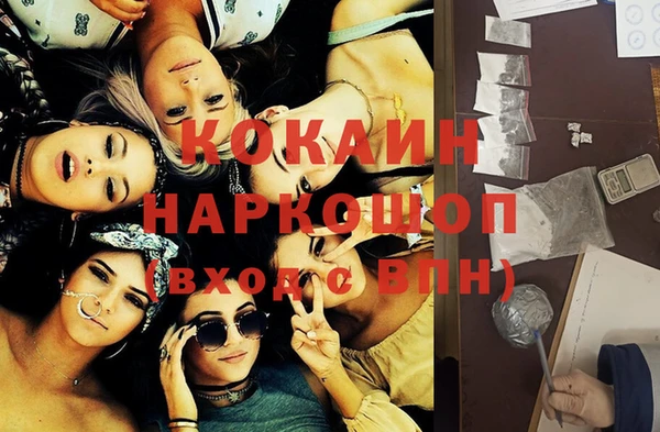 СК Елизово