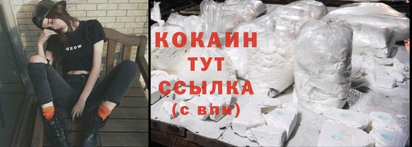 СК Елизово