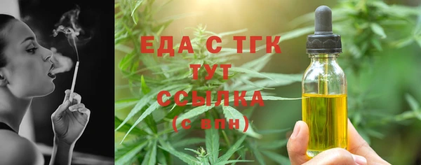 СК Елизово
