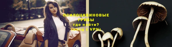 мескалин Ельня