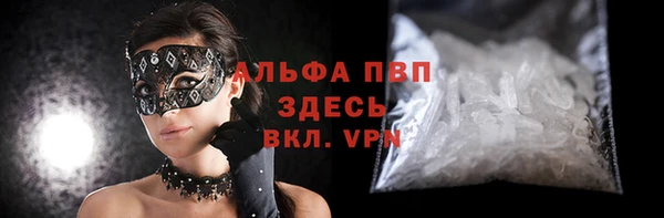 СК Елизово