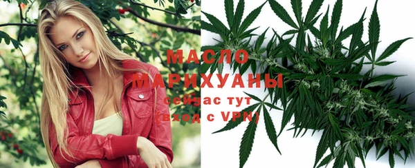 СК Елизово