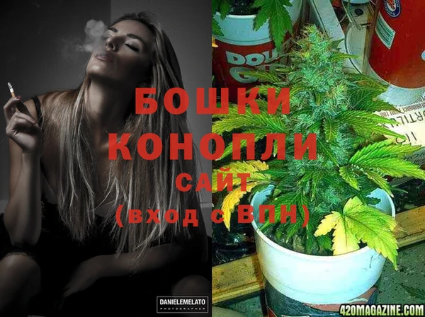 СК Елизово