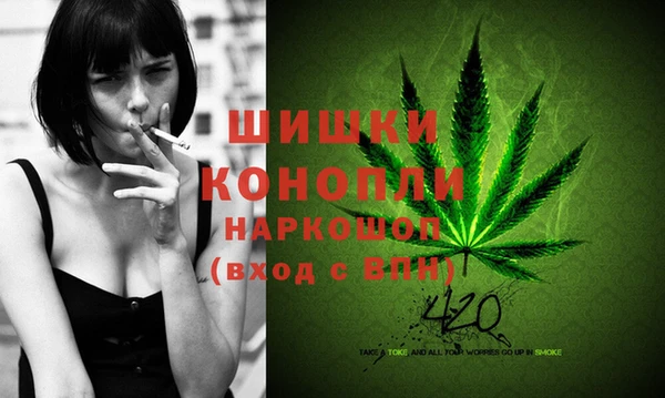СК Елизово