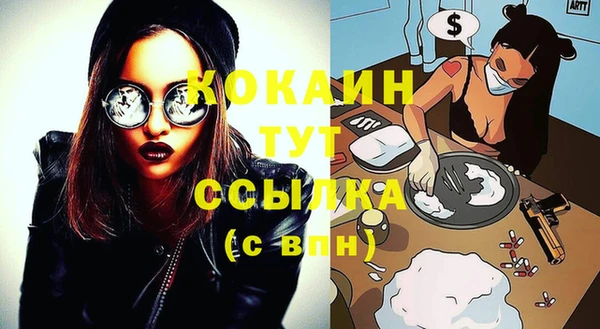 СК Елизово