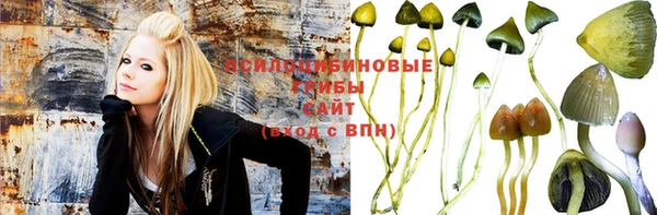 мескалин Ельня