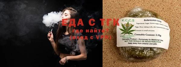 СК Елизово