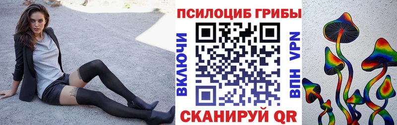 Купить закладки  Данилов  Галлюциногенные грибы прущие грибы 